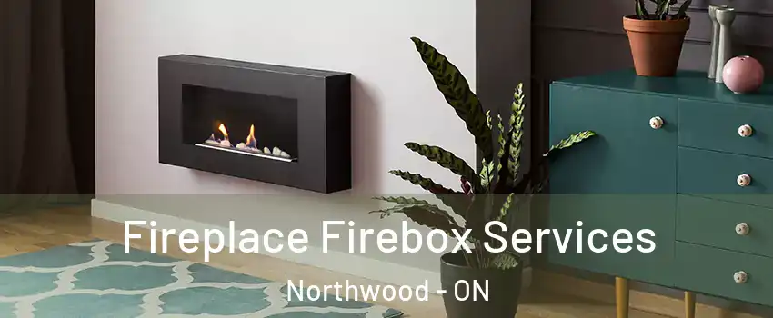  Fireplace Firebox Services Northwood - ON