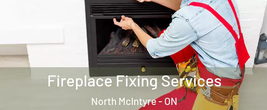  Fireplace Fixing Services North McIntyre - ON