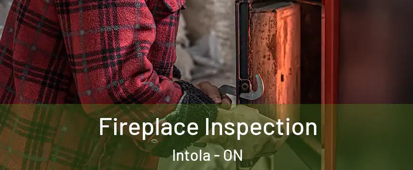  Fireplace Inspection Intola - ON
