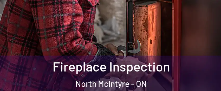  Fireplace Inspection North McIntyre - ON