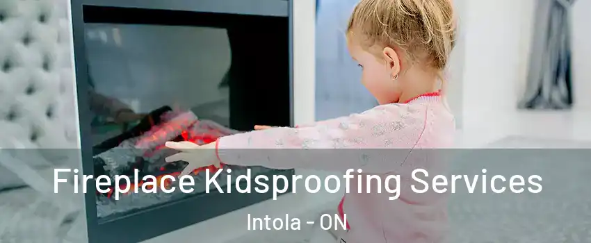 Fireplace Kidsproofing Services Intola - ON