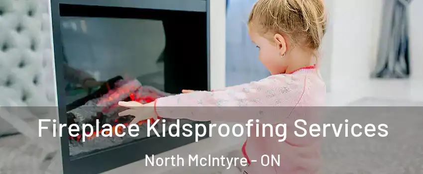  Fireplace Kidsproofing Services North McIntyre - ON