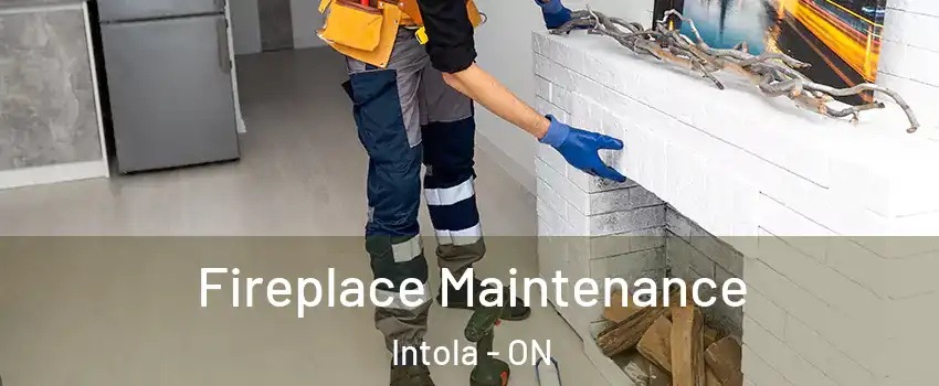 Fireplace Maintenance Intola - ON