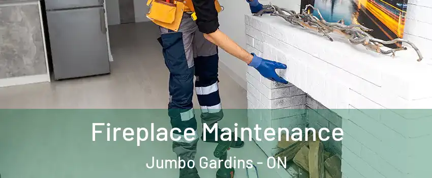  Fireplace Maintenance Jumbo Gardins - ON