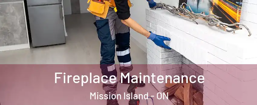  Fireplace Maintenance Mission Island - ON