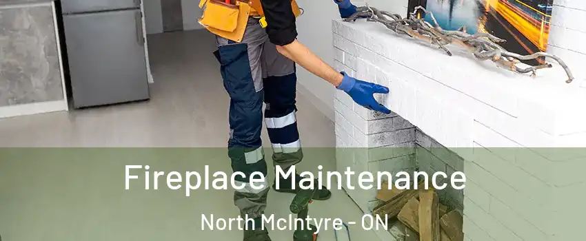 Fireplace Maintenance North McIntyre - ON