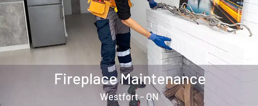  Fireplace Maintenance Westfort - ON