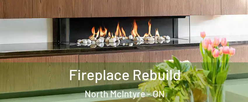  Fireplace Rebuild North McIntyre - ON