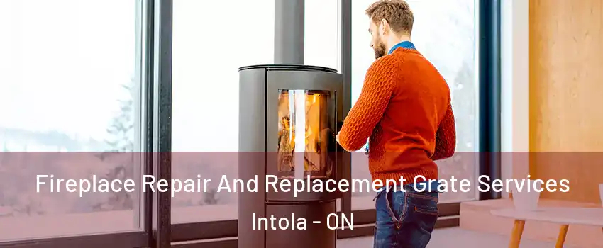  Fireplace Repair And Replacement Grate Services Intola - ON