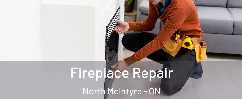  Fireplace Repair North McIntyre - ON