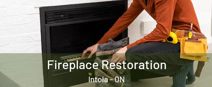  Fireplace Restoration Intola - ON