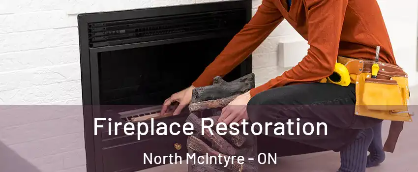  Fireplace Restoration North McIntyre - ON