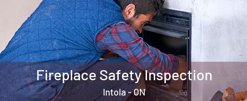  Fireplace Safety Inspection Intola - ON