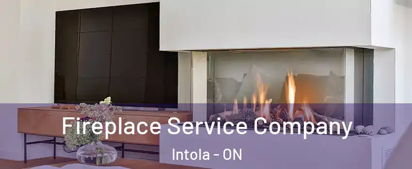  Fireplace Service Company Intola - ON