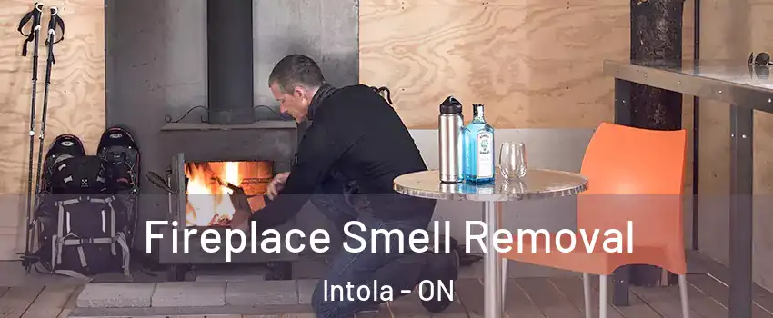  Fireplace Smell Removal Intola - ON