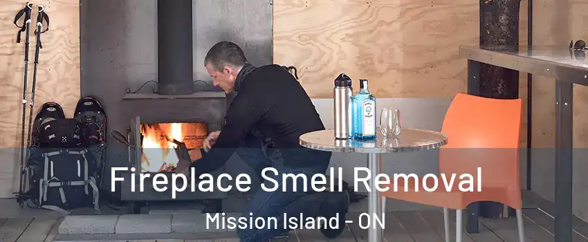  Fireplace Smell Removal Mission Island - ON