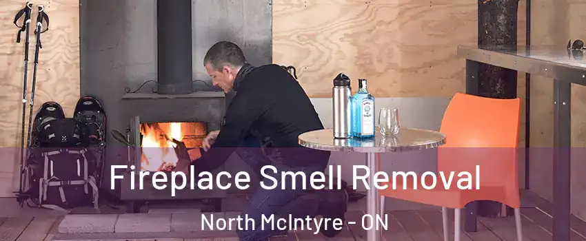  Fireplace Smell Removal North McIntyre - ON