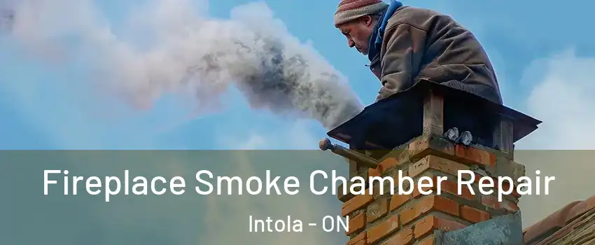  Fireplace Smoke Chamber Repair Intola - ON