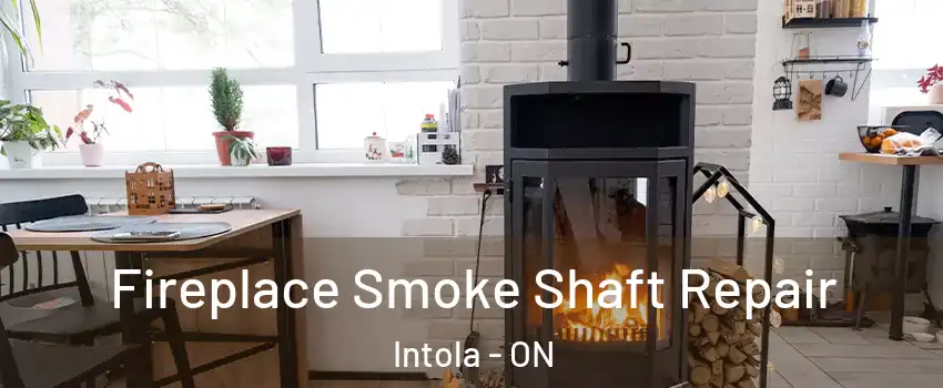  Fireplace Smoke Shaft Repair Intola - ON