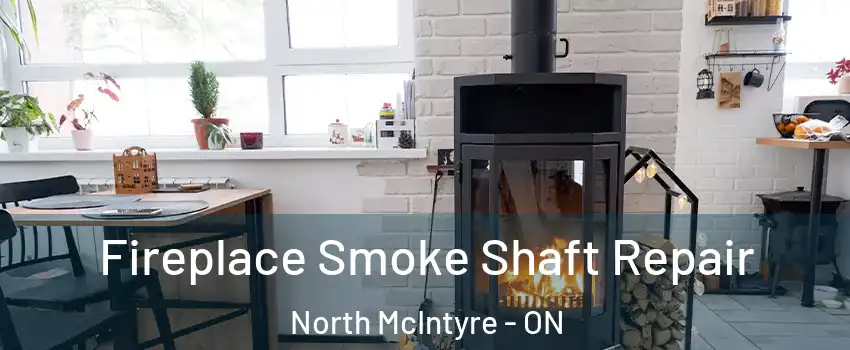  Fireplace Smoke Shaft Repair North McIntyre - ON