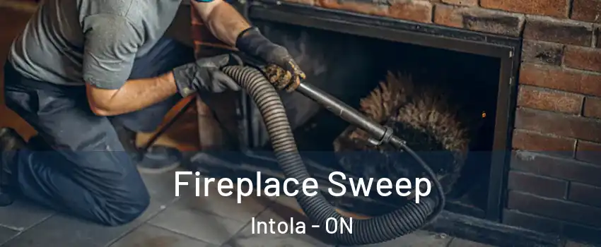  Fireplace Sweep Intola - ON