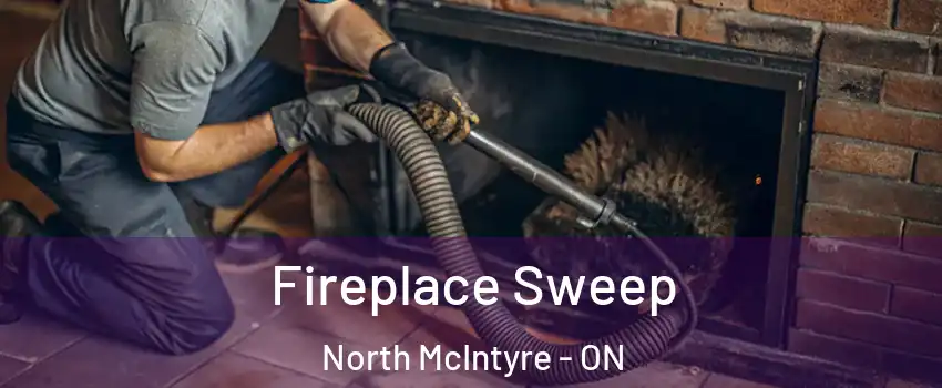  Fireplace Sweep North McIntyre - ON