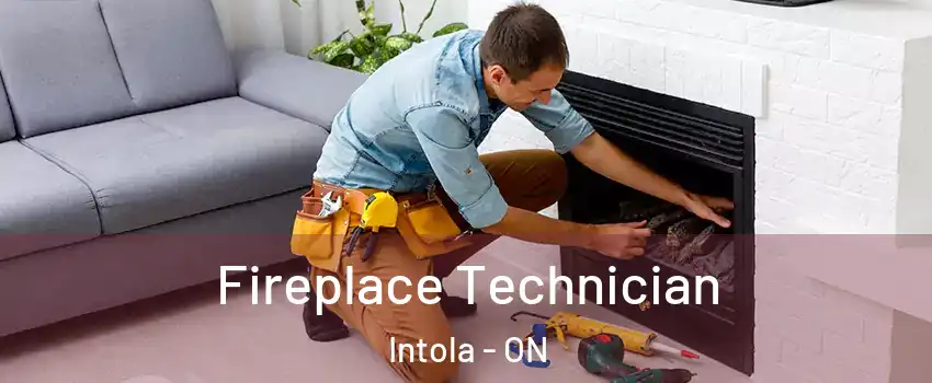Fireplace Technician Intola - ON