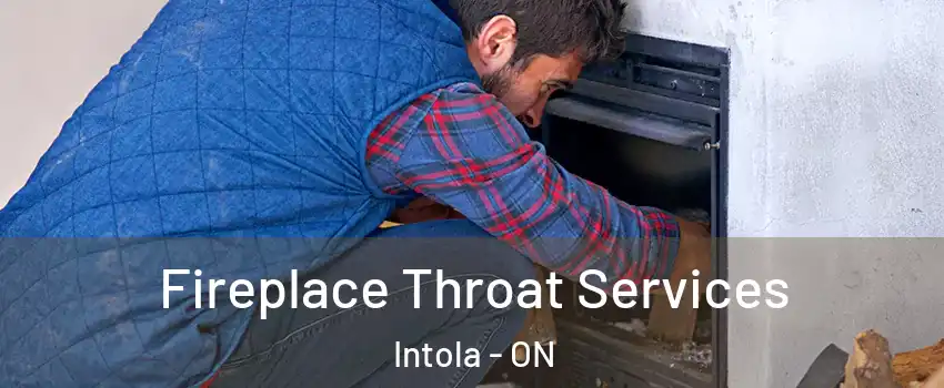  Fireplace Throat Services Intola - ON