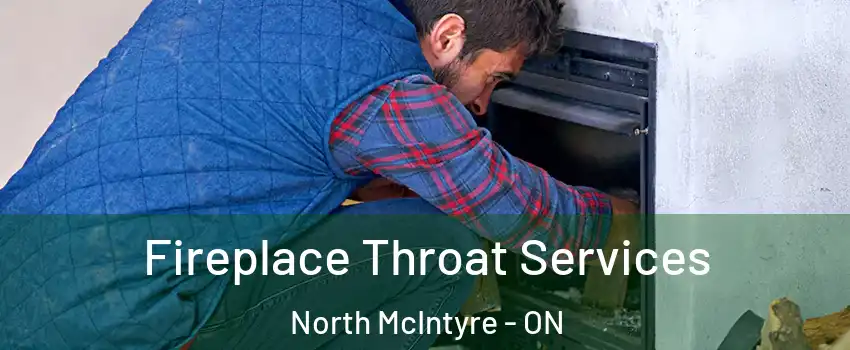  Fireplace Throat Services North McIntyre - ON