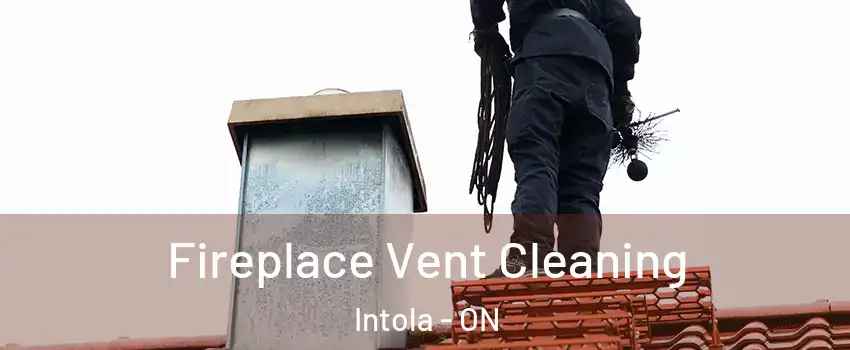  Fireplace Vent Cleaning Intola - ON