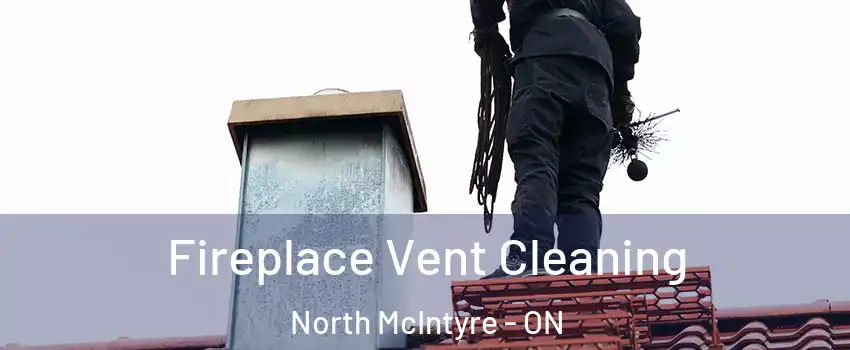  Fireplace Vent Cleaning North McIntyre - ON