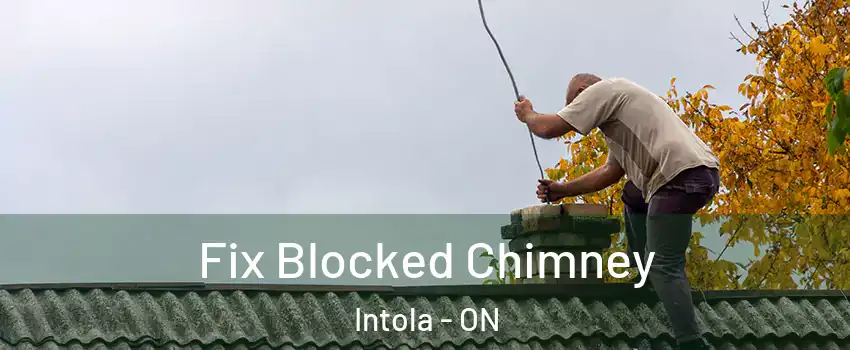  Fix Blocked Chimney Intola - ON