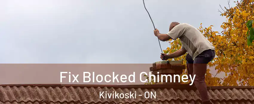  Fix Blocked Chimney Kivikoski - ON