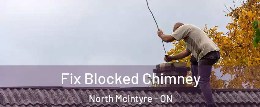  Fix Blocked Chimney North McIntyre - ON