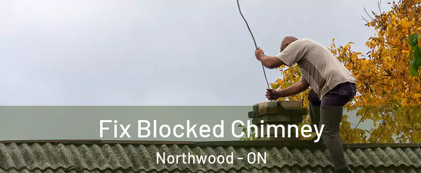  Fix Blocked Chimney Northwood - ON