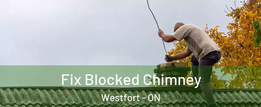  Fix Blocked Chimney Westfort - ON