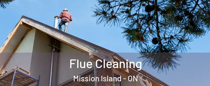  Flue Cleaning Mission Island - ON