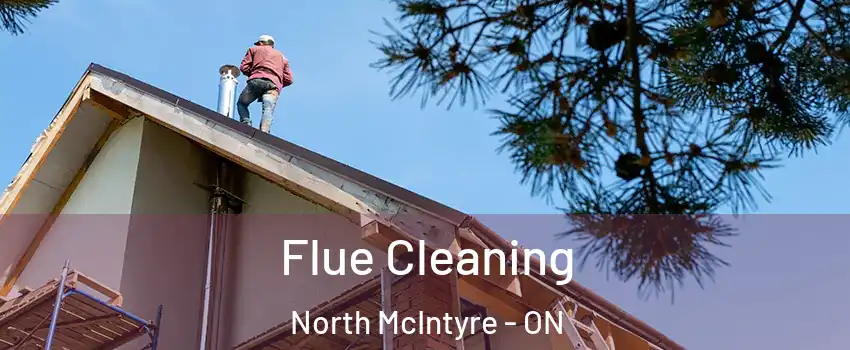  Flue Cleaning North McIntyre - ON
