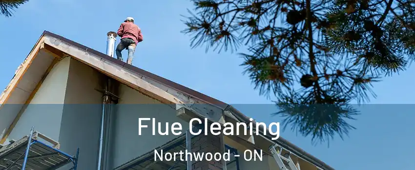  Flue Cleaning Northwood - ON