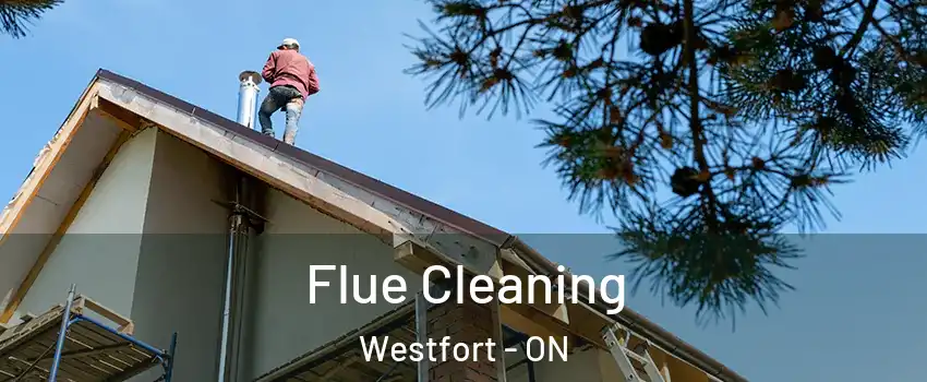  Flue Cleaning Westfort - ON