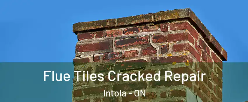  Flue Tiles Cracked Repair Intola - ON
