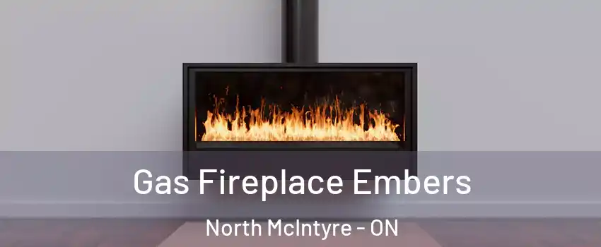  Gas Fireplace Embers North McIntyre - ON
