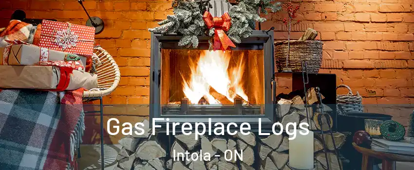 Gas Fireplace Logs Intola - ON