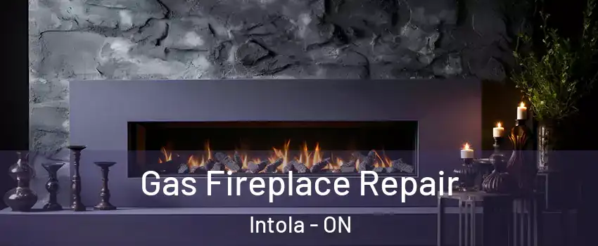  Gas Fireplace Repair Intola - ON