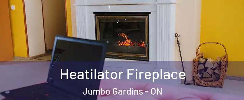  Heatilator Fireplace Jumbo Gardins - ON