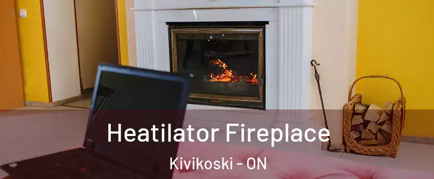  Heatilator Fireplace Kivikoski - ON