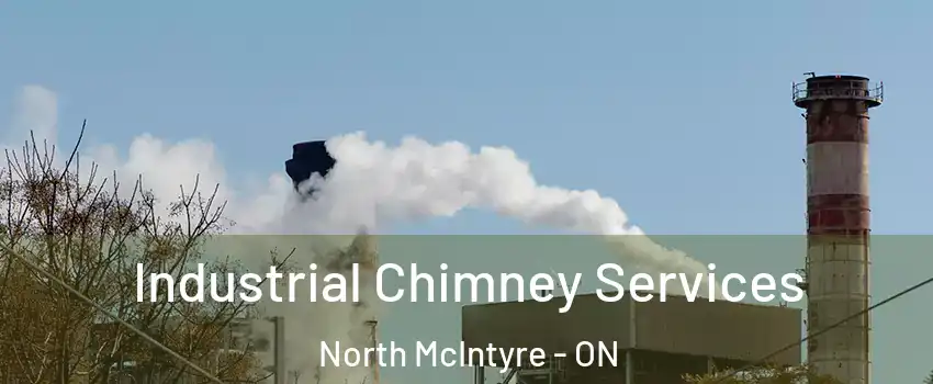  Industrial Chimney Services North McIntyre - ON