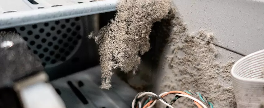 Clogged Dryer Vent Lint Cleaning in Hillcrest Park, Ontario