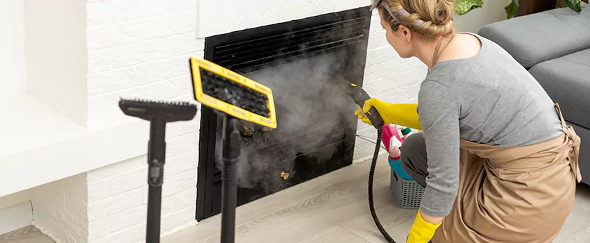 Fireplace Doors Cleaning in Hillcrest Park, Ontario