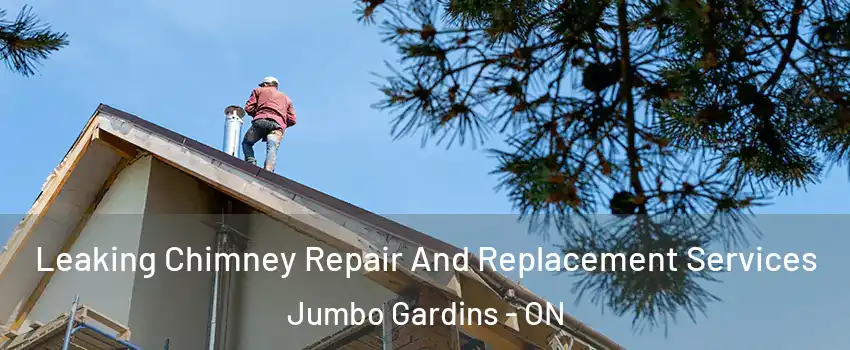  Leaking Chimney Repair And Replacement Services Jumbo Gardins - ON